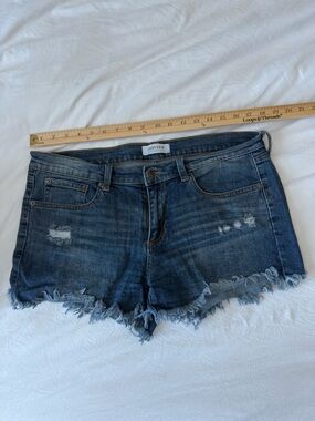 Just USA cutoff Denim shorts, Size Large